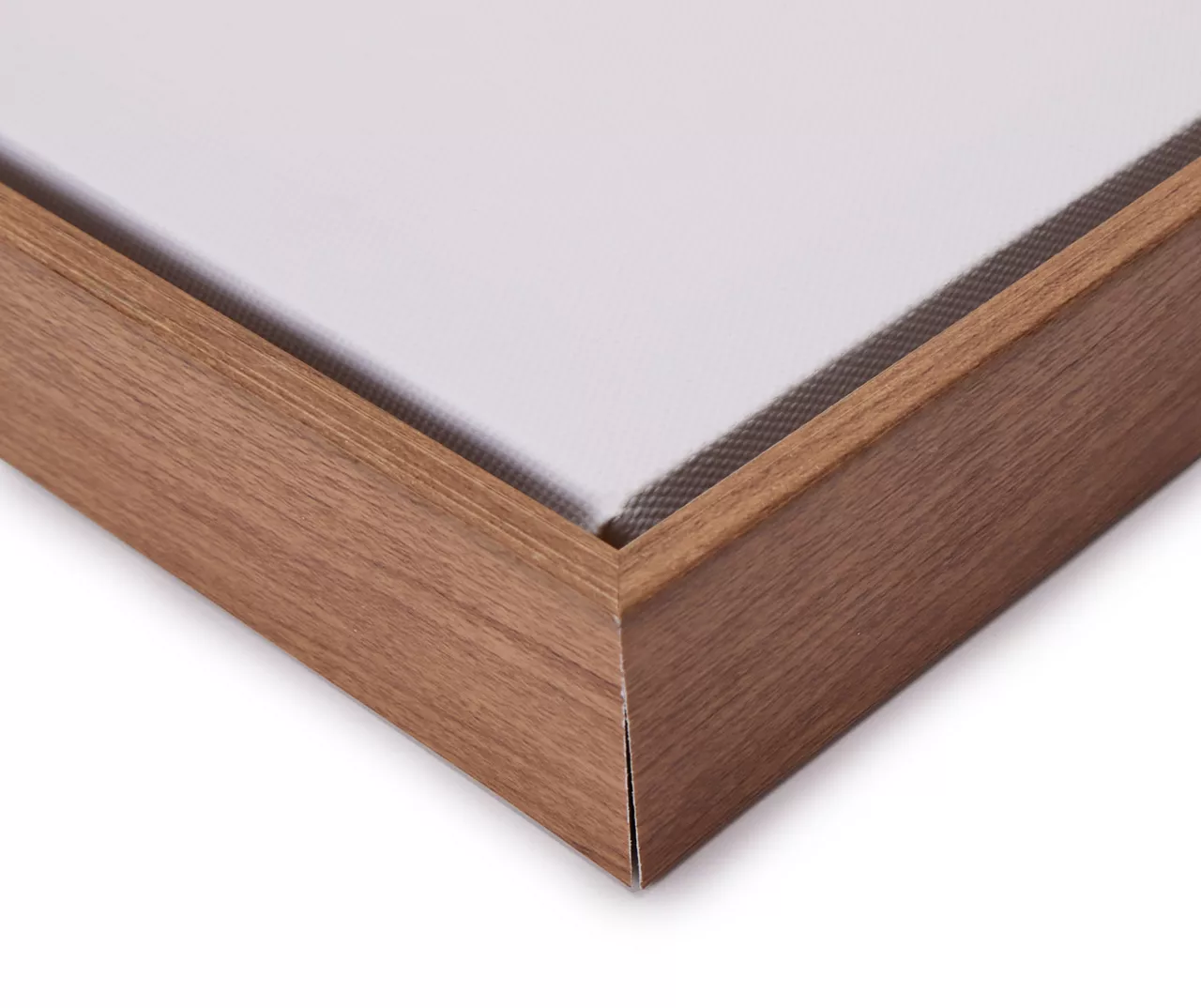 Blue & Brown Fish 1 Framed Canvas - Image 2