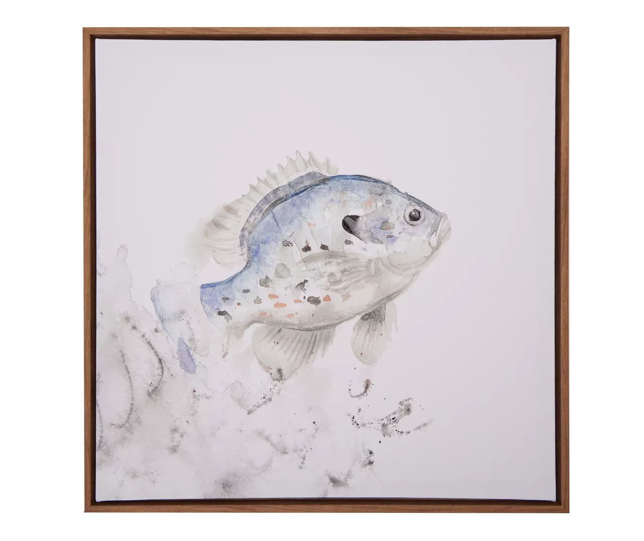 Blue & Brown Fish 1 Framed Canvas