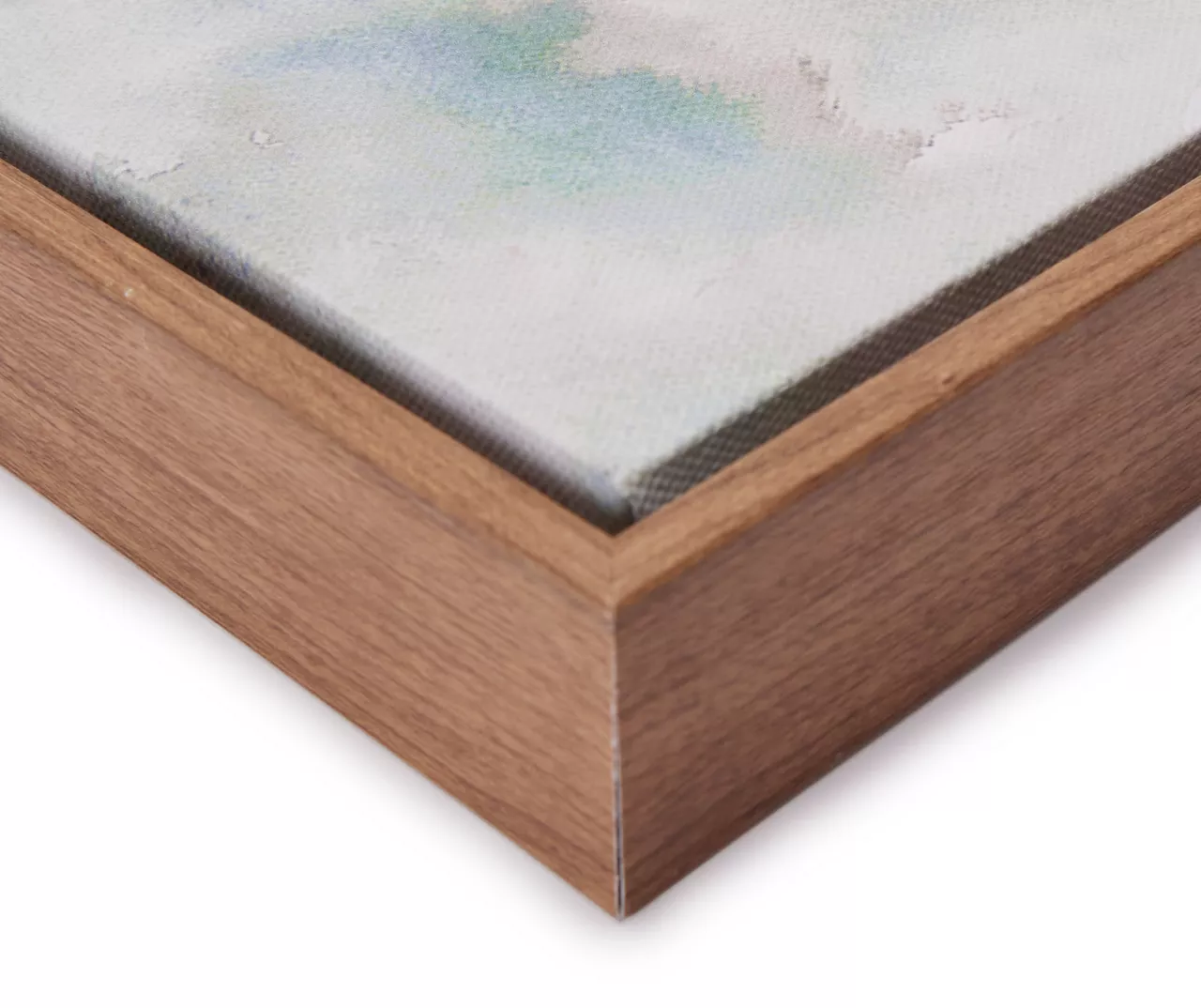 Blue & Brown Fish 2 Framed Canvas - Image 2