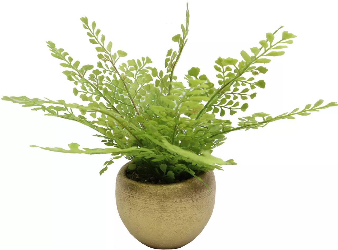Homeward Artificial Greenery In Gold Cement Pot